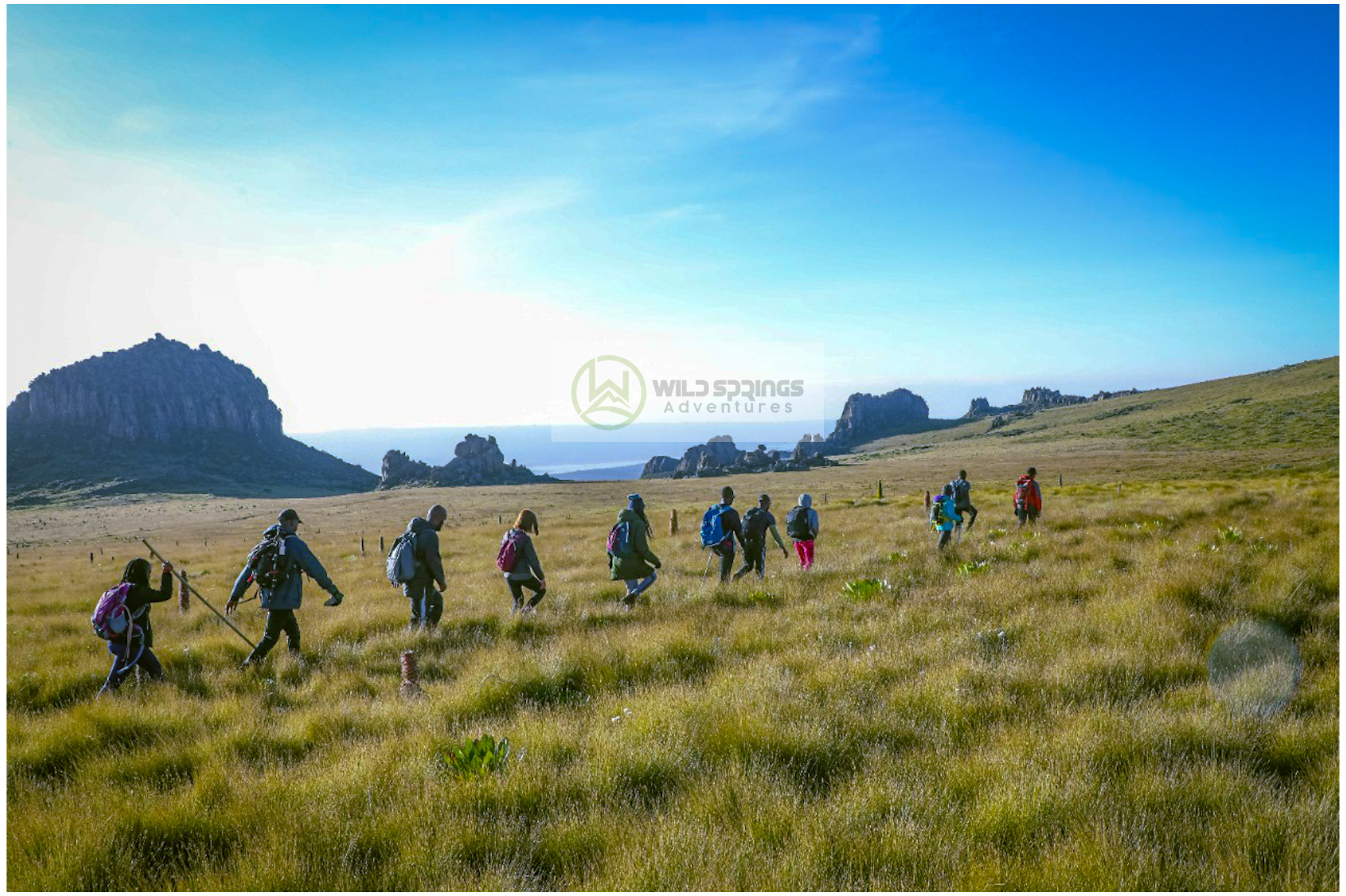Afro-alpine moorland below the summit of Mount Satima in the Aberdare Range, Kenya