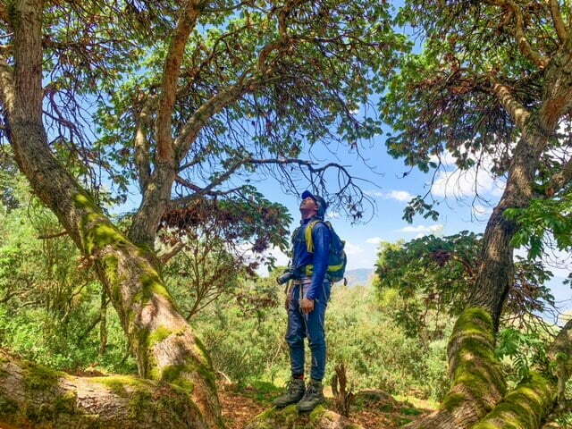 Rurumeria Hike, Table moutain hike, Aberdare National Park