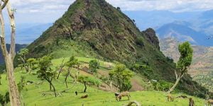 Hiking Mt Mtelo in West, the fifth highest mountain in Kenya Pokot