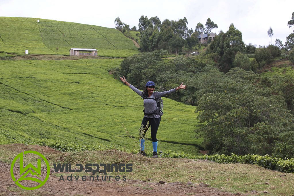 njigari forest forest bathing hike trek hiking in kenya njigari forest forest charges