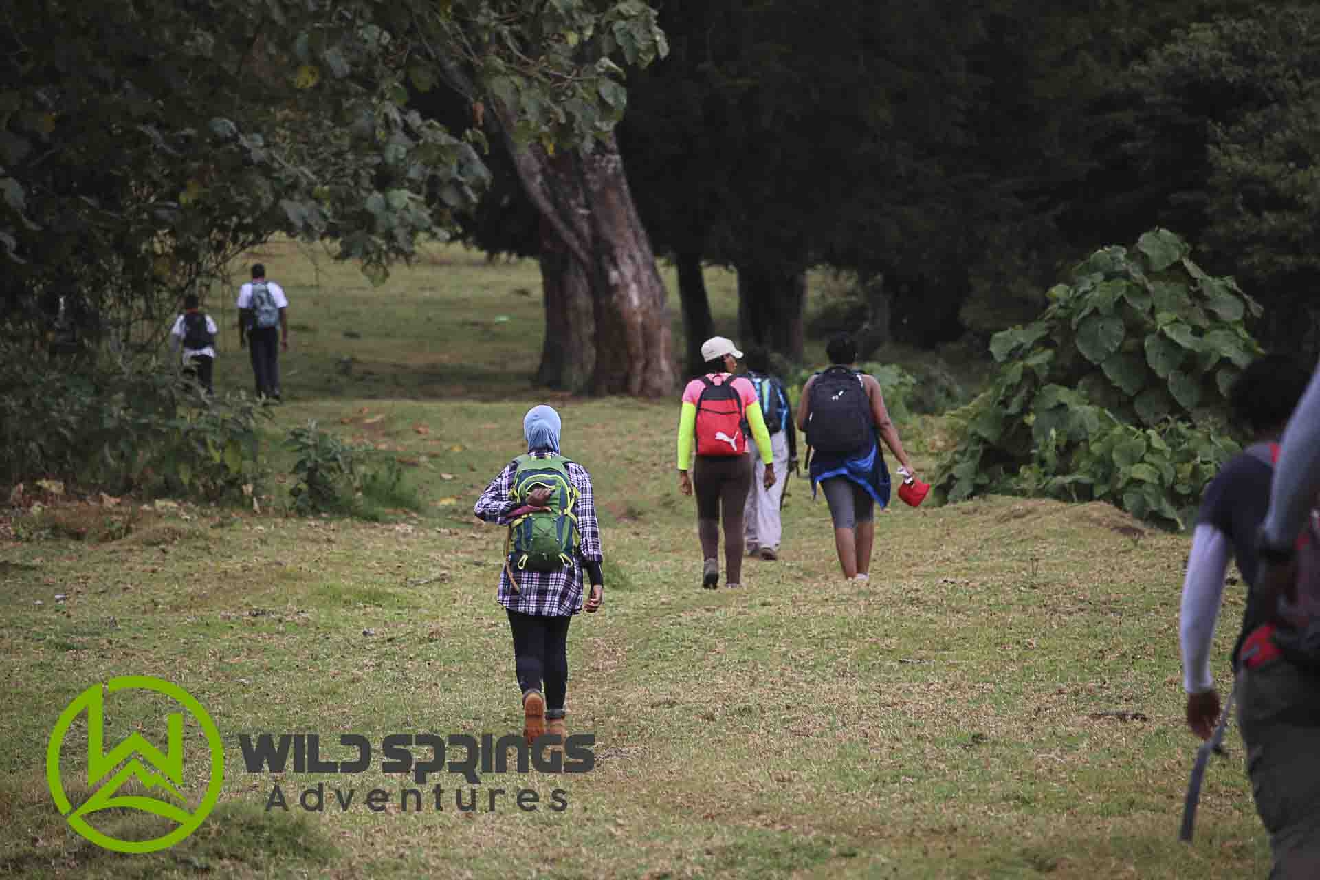 trekking in aberdare ranges, njigari forest in nyeri