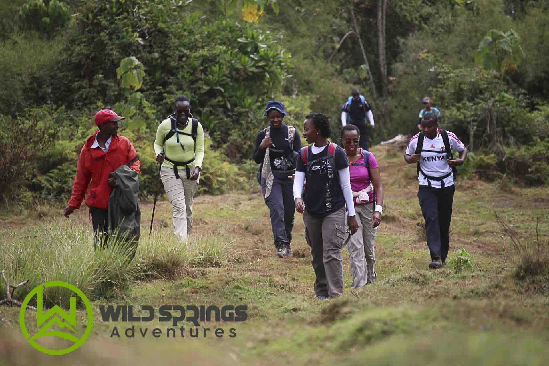 hiking in njigari forest, forest bathing magic