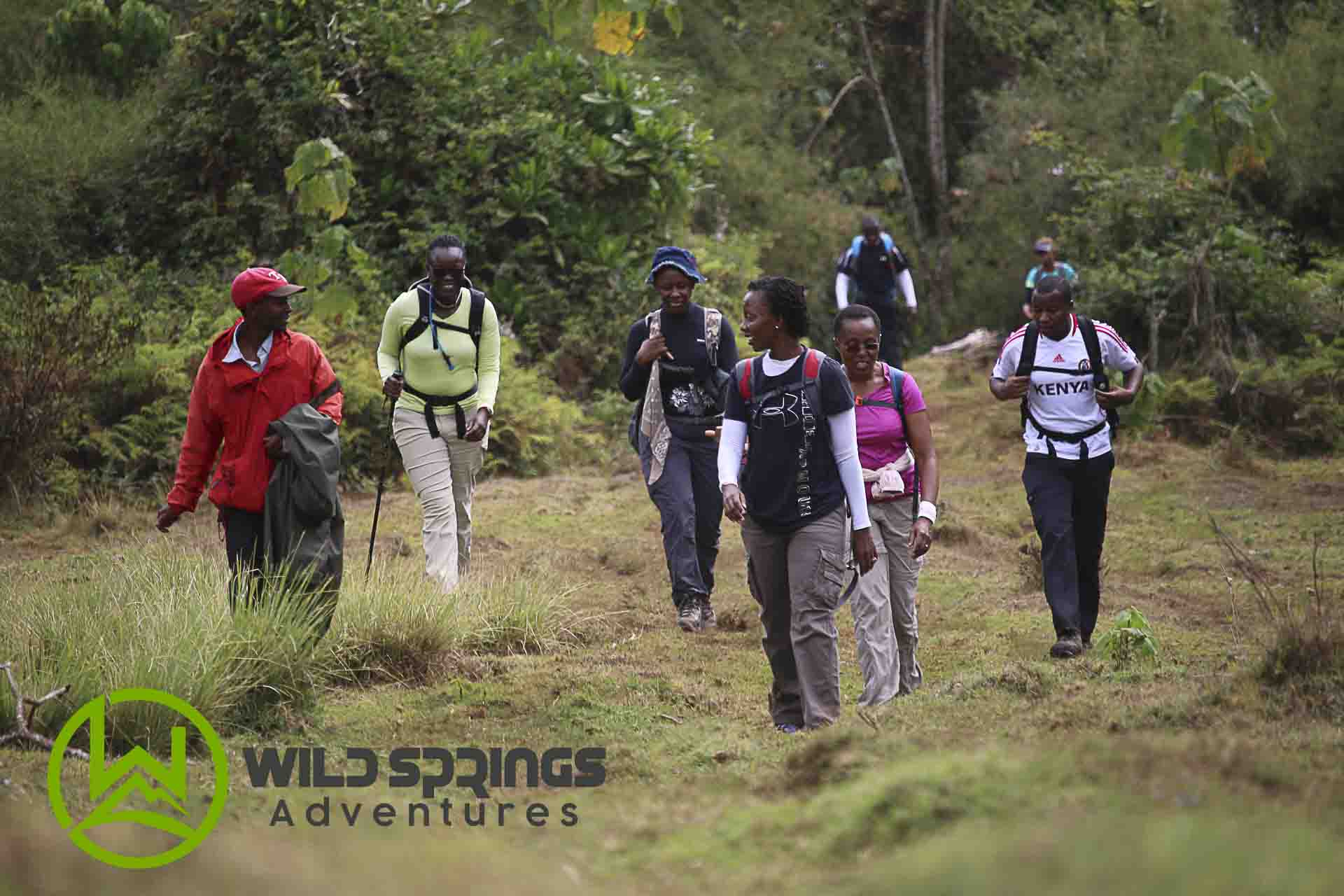 njigari forest forest bathing hike trek hiking in kenya hiking in njigari forest, forest bathing magic