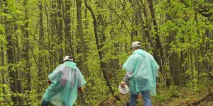Waterproof rain Ponchos for hiking and camping