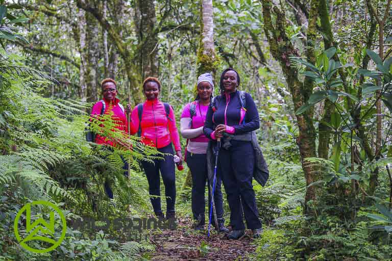 romantic places in nyeri, hiking trails in nyeri
