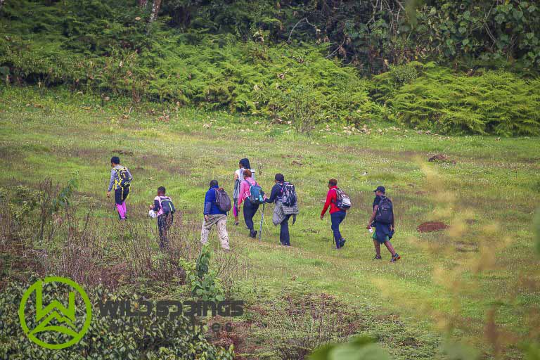 affordable places to visit in nyeri, hiking trails in nyeri