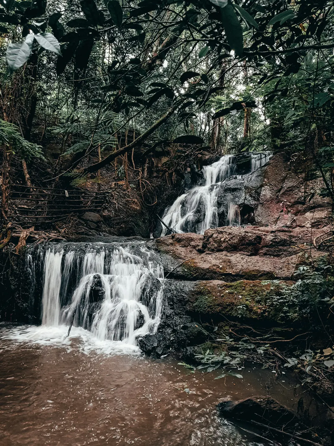 Two-tier Karura Forest waterfall on the Gitathuru River in Nairobi — Wild Springs Adventures Karura Forest day tour and guided forest walk