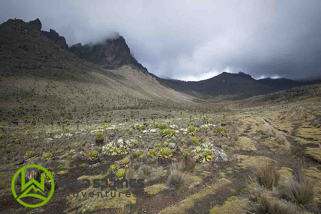 Sirimon trail in mount Kenya