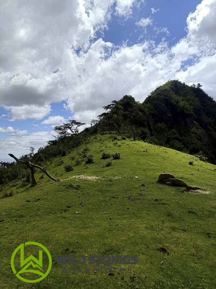 Hiking and Trekking in mount Mtelo the fifth highest mountain in kenya