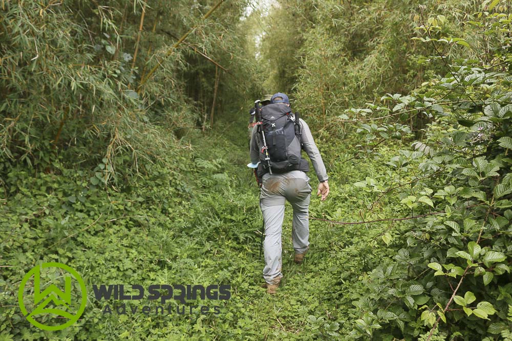 trekking in ragia forest and waterfalls chase trek Ragia forest directions