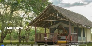 best camps and hotels in Tsavo west