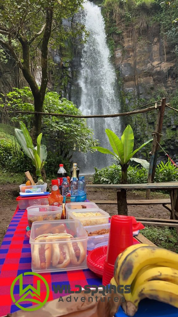 Picnic moment beside the falls 