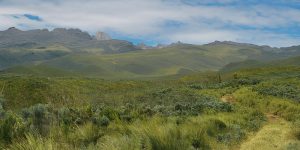 The Chogoria Route’s 5-day itinerary offers a steady climb, allowing for better acclimatization while showcasing Mount Kenya’s breathtaking landscapes.