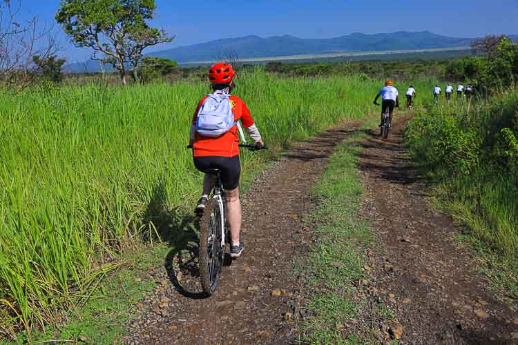 An image showing Tourists Cycling in a Wildlife Park