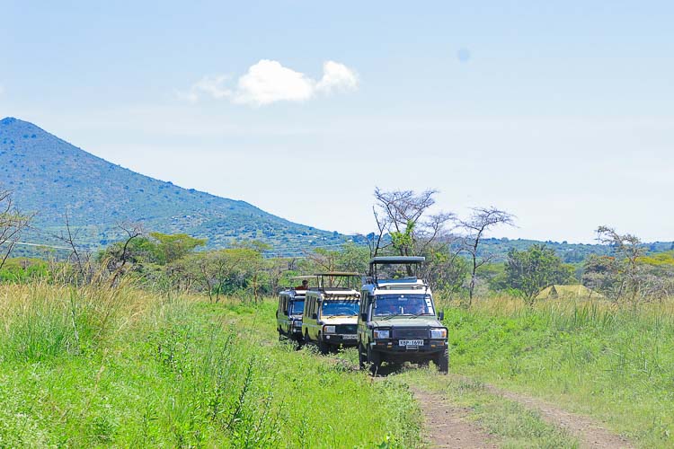 An image showing Birdwatching Tourists on a Birdwatching Safari vehicles on a Game Drive session in Ruma.