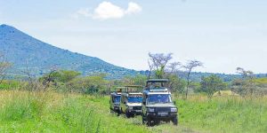 4x4 Safari Vehicles line up for a Safari and Birdwatching expedition in Ruma National Park