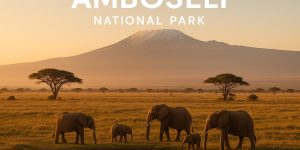Amboseli National Park Guide 2026