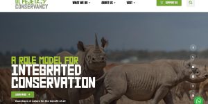 Ol Pejeta Conservancy Safari Guide (2026): Wildlife, Rhino Conservation, Hotels, Park Fees & Best Safari Experiences