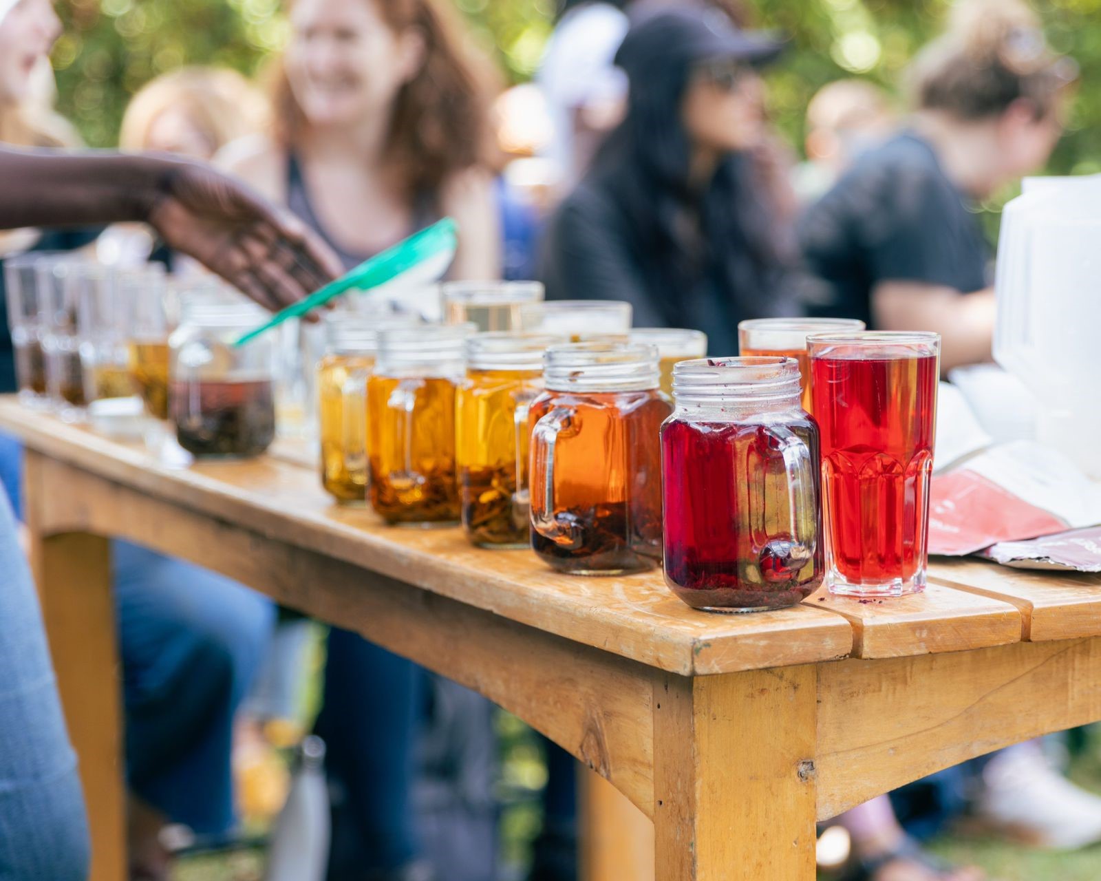 🌿 Gatura Greens Purple Tea Farm Day Tour