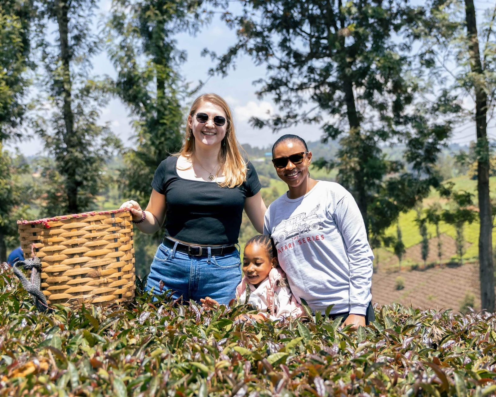 🌿 Gatura Greens Purple Tea Farm Day Tour