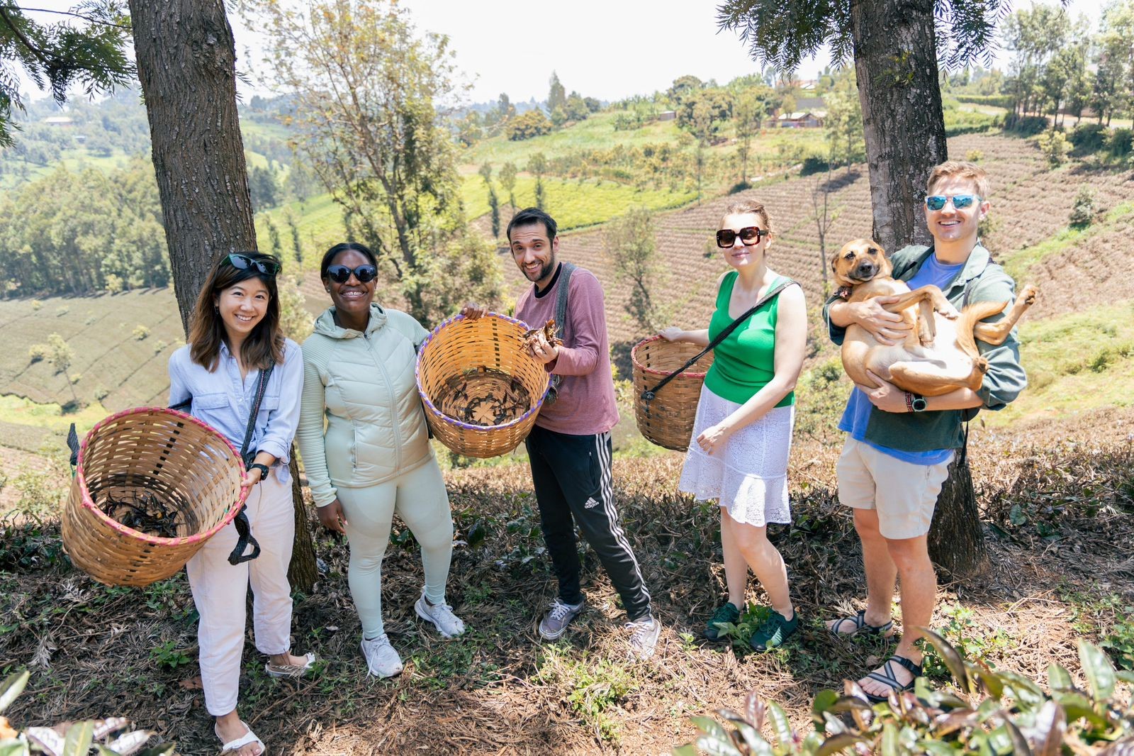 🌿 Gatura Greens Purple Tea Farm Day Tour