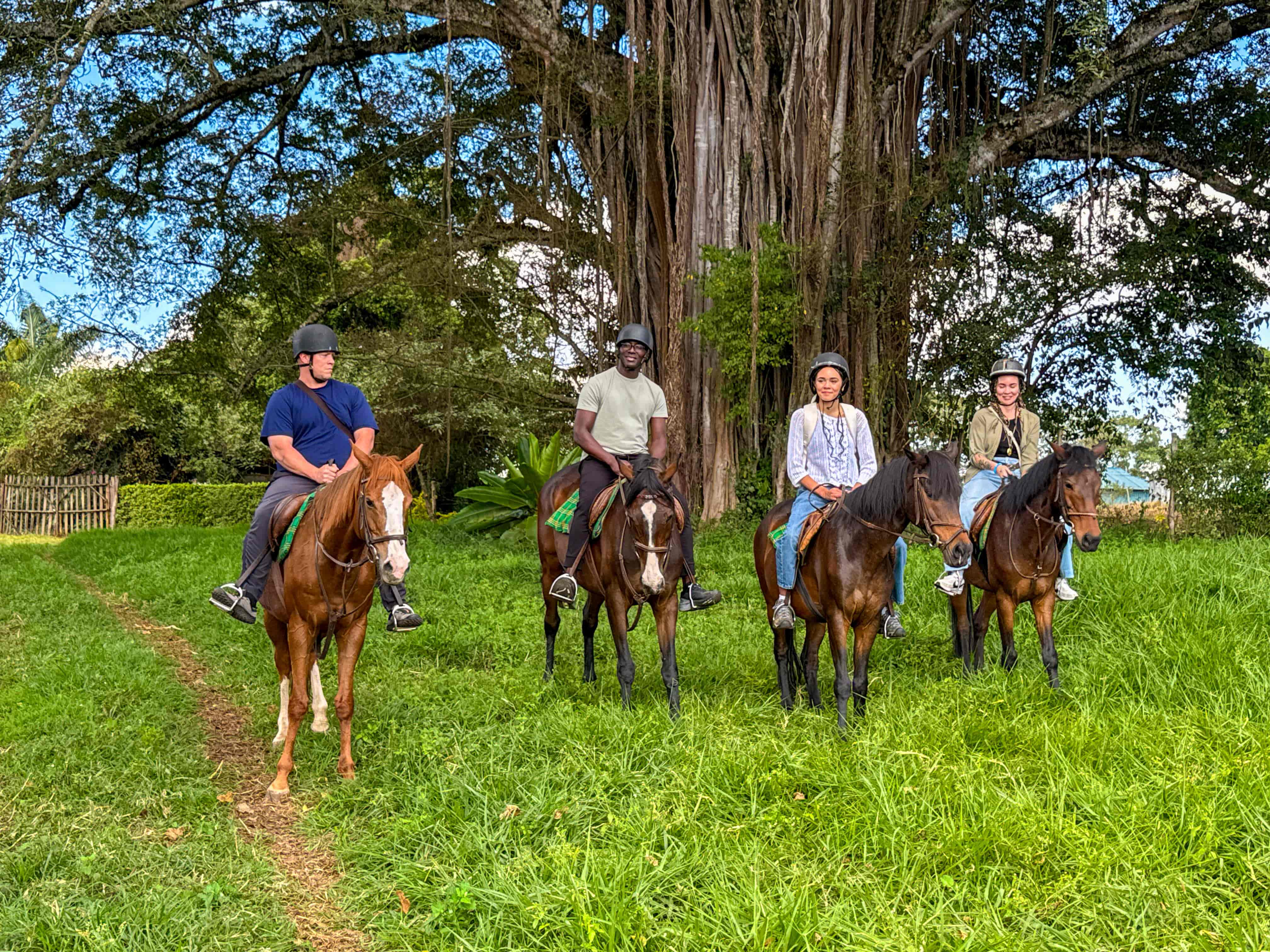 🐎Horseback Riding Tour In Tigoni Tea Farms