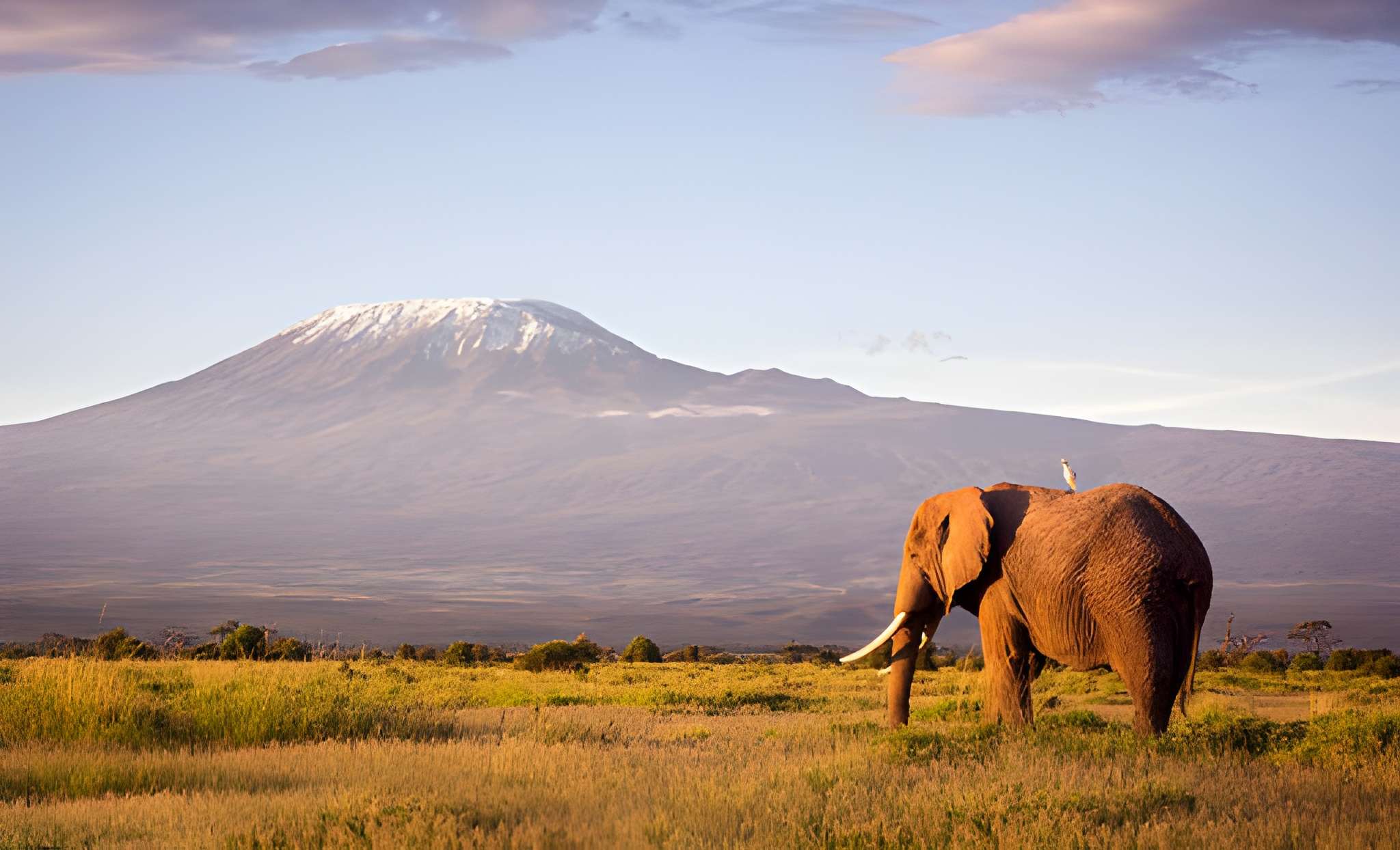 3 Days 2 Nights Amboseli National Park Experience