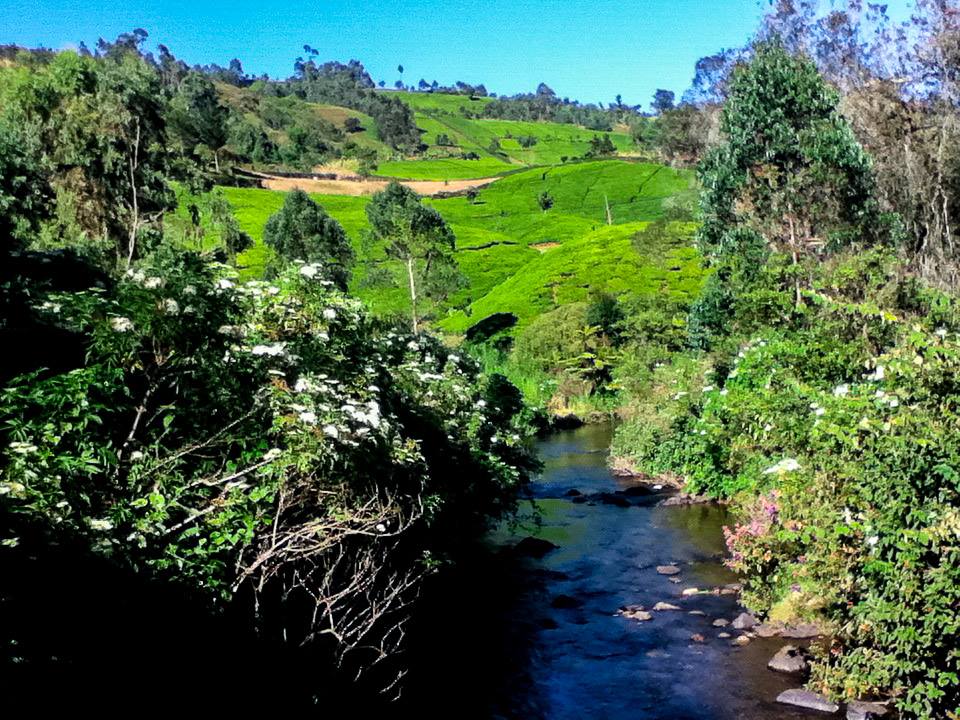 Deep Valley Lodge & Manguyo River Expedition : 2-Day Nature Retreat — Wild Springs Adventures outdoor event