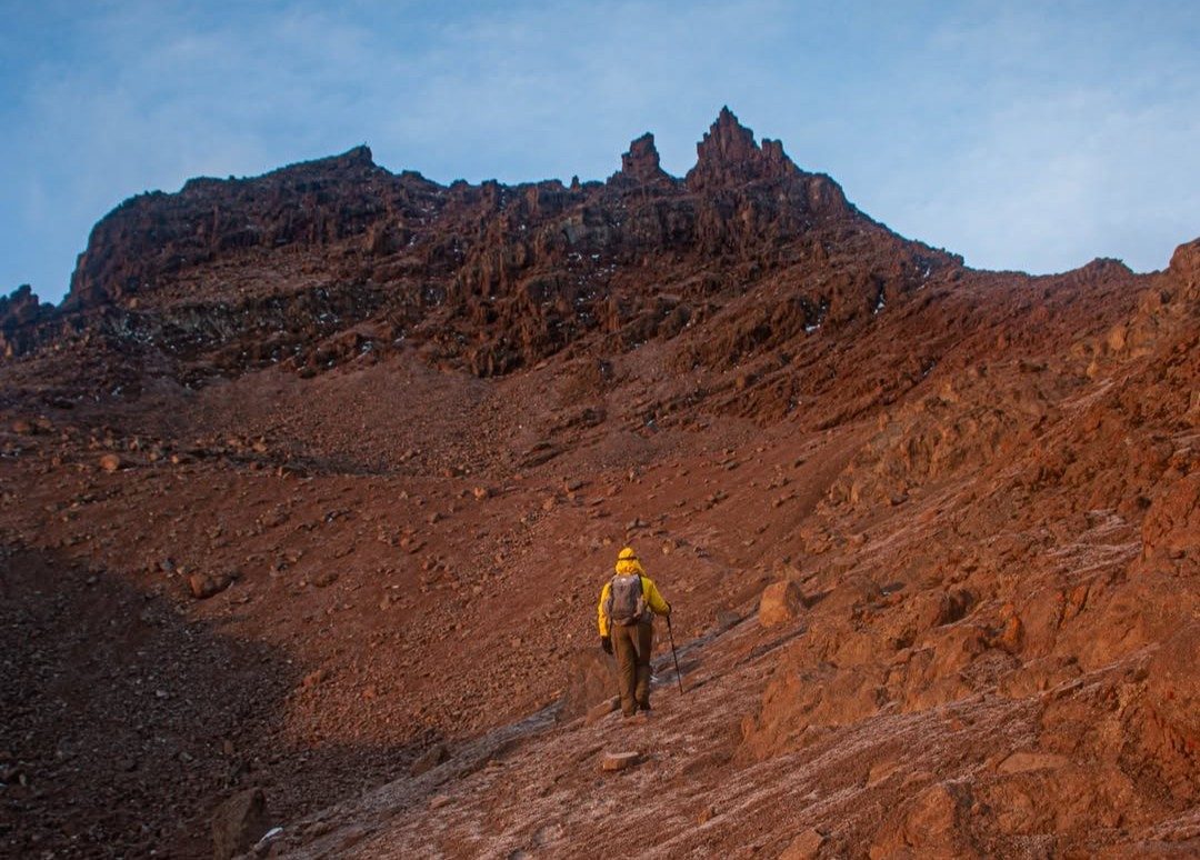 Wild Springs Live changing Connections